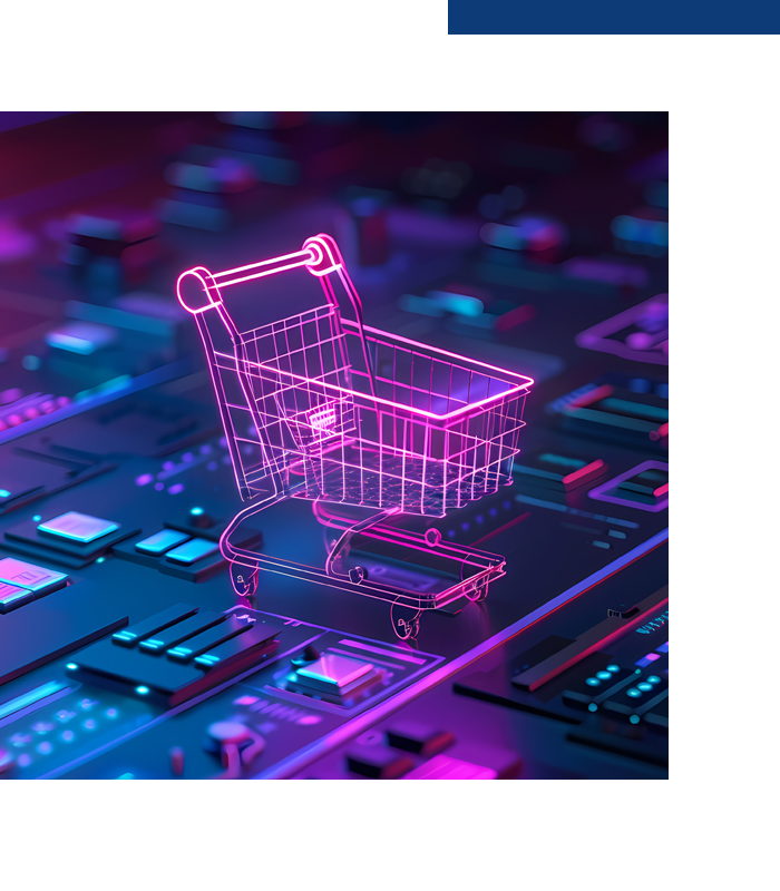 B2B E-Commerce