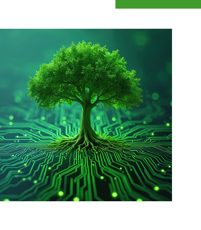 Green IT