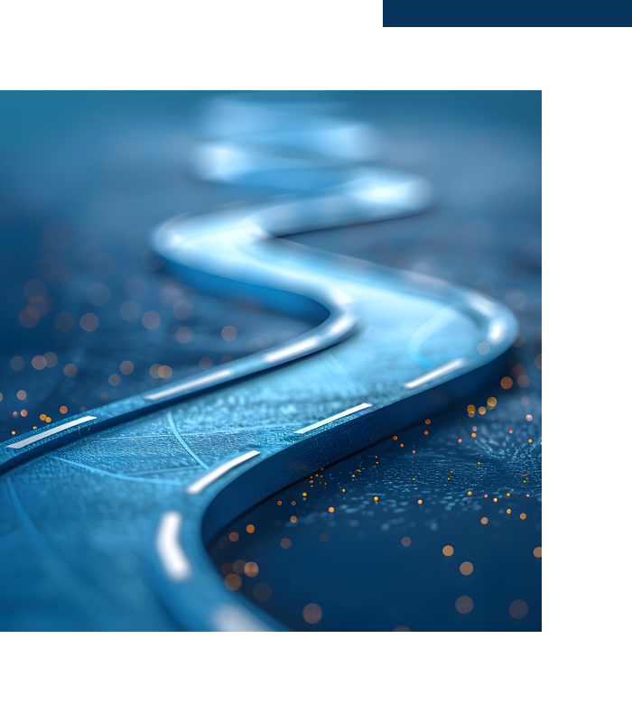 Roadmap
