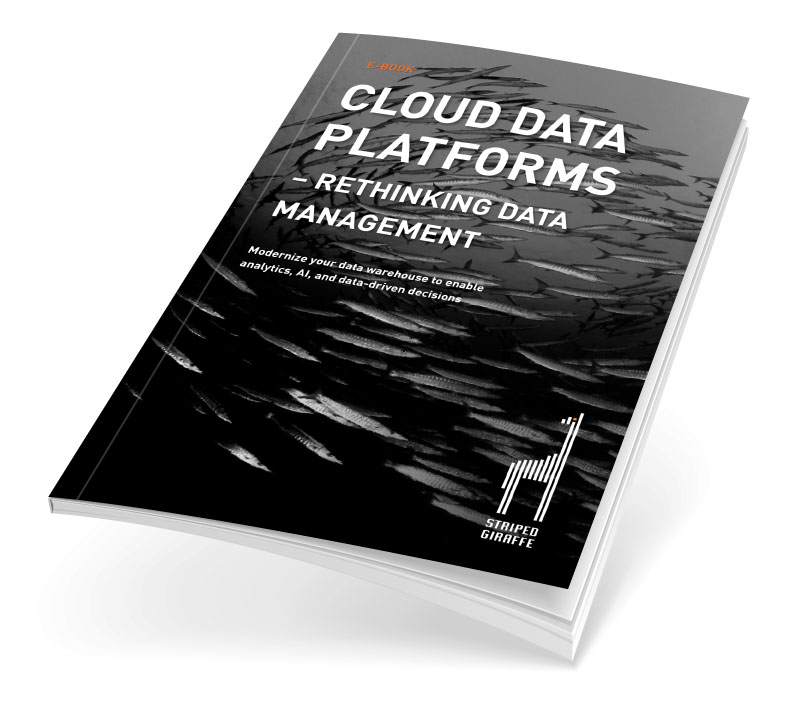 Cloud Data Platforms - Rethinking Data Management-ebook E-Book: Cloud Data Platforms - Rethinking Data Management